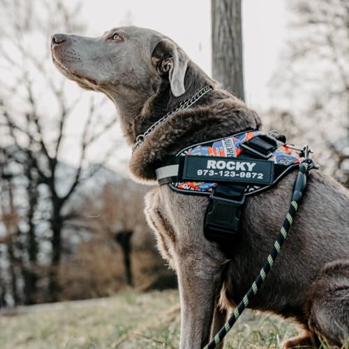 Blue Personalized No Pull Dog Harness with Name Patches