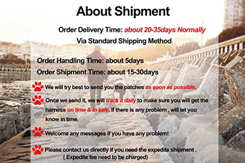 Personalized Dog Name Patch for Harness Vest Collar