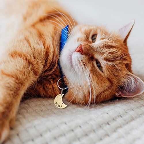 Starry Sky personalized Dog and Cat ID Tags