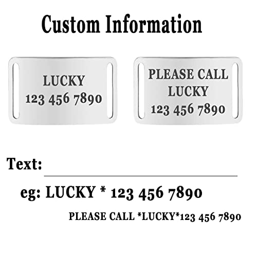 Personalized Moonpet Dog Harness Leash Set with Name & Phone Number