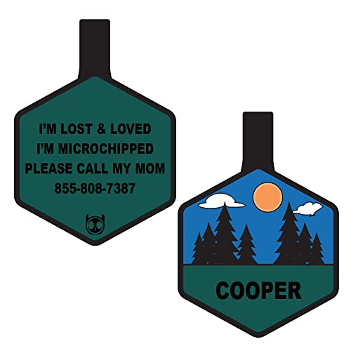 Forest Night Hexagon Silent Dog Tag - Custom Engraved
