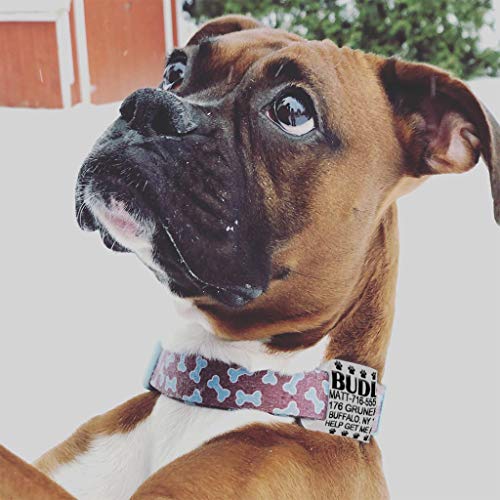 Custom Engraved Silicone Pet ID Tags - Waterproof