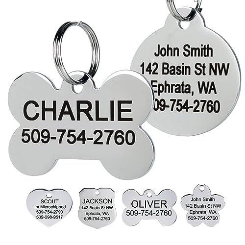 Personalized Stainless Steel Pet ID Tags in Various Shapes