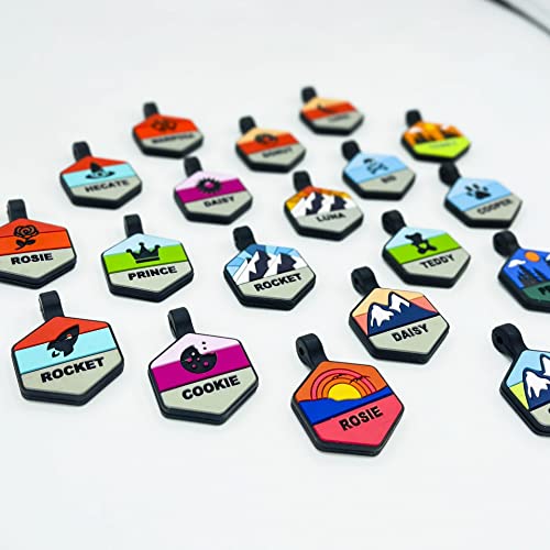 Forest Night Hexagon Silent Dog Tag - Custom Engraved