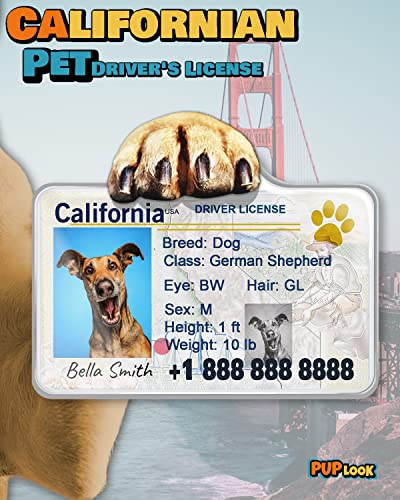 Custom Pet Driver License ID Tags - Personalize now!