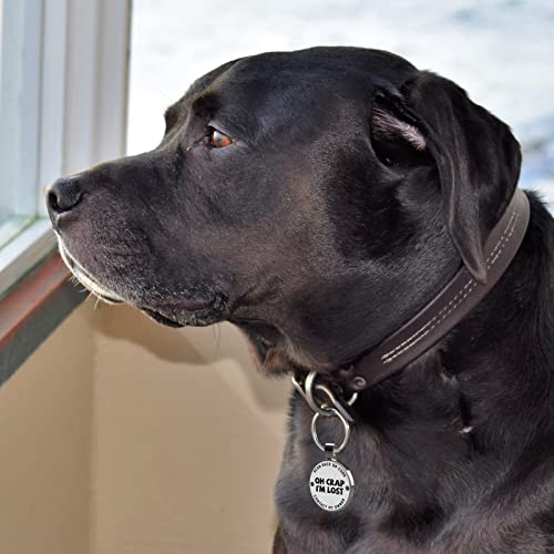 MYLUCKYTAG Custom QR Code Pet ID Tags