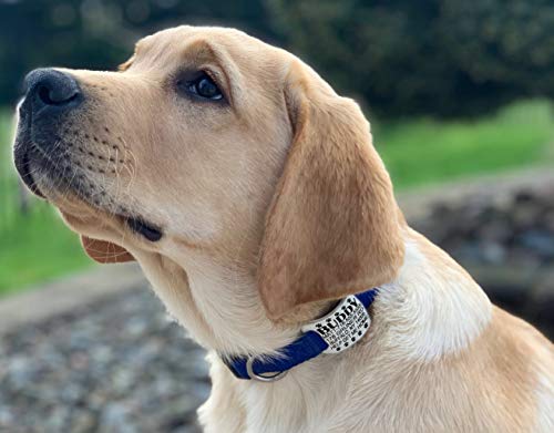 Custom Engraved Silicone Pet ID Tags - Waterproof