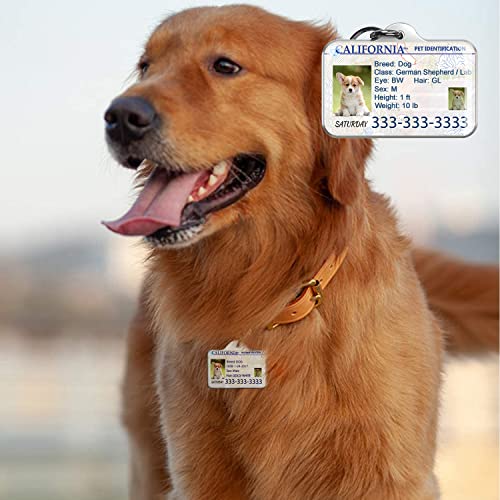 Custom Pet Driver License ID Tags - Personalize now!