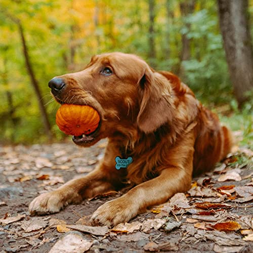 Glow-in-the-Dark Personalized Silicone Pet Tag (Blue Bone)