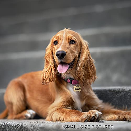 Custom Pet ID Tags, Brass, Engraved, Various Shapes