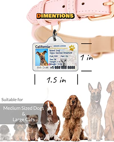 Custom Pet Driver License ID Tags - Personalize now!