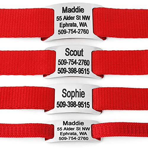 Custom Stainless Steel Slide-On Pet Collar Tags