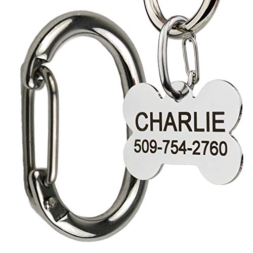 Stainless Steel Pet ID Clip for Easy Collar Exchange