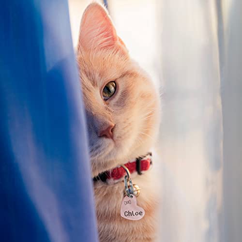 Personalized Heart Dog Tag - Stainless Steel, Rose Gold