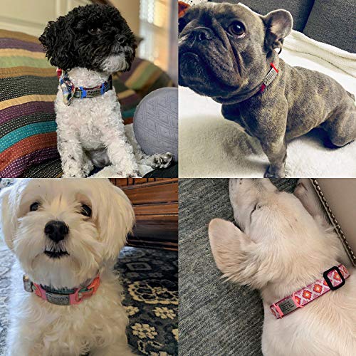 Custom Slide On ID Tag for Pets - Personalized