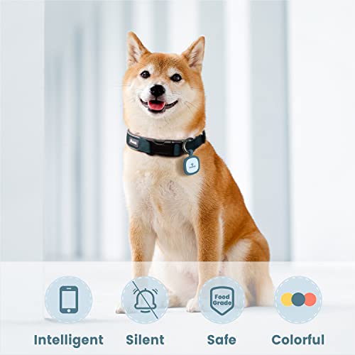 Pawaii Silent Silicone Dog ID Tag, Customizable Online Profile