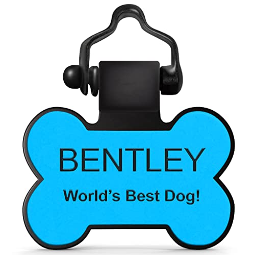 Customized Engraved Silicone ID Pet Tag - Blue