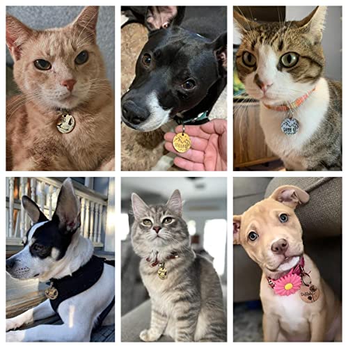 Personalized Stainless Steel Pet ID Tags - Various Designs