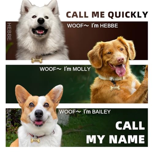 Stylish Personalized MEMOPAW Double-Sided Pet Tags