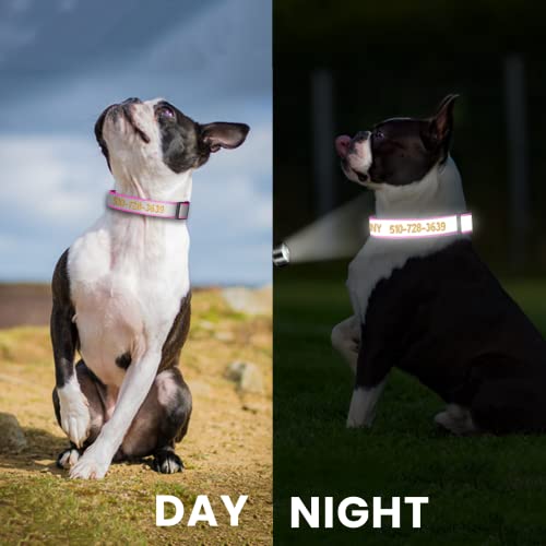Custom Embroidered Reflective Dog Collars with Name and Phone