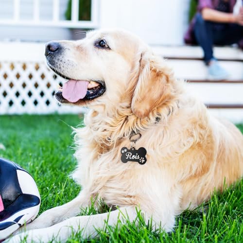 YEHANTI Personalized Engraved Stainless Steel Pet Dog Tags