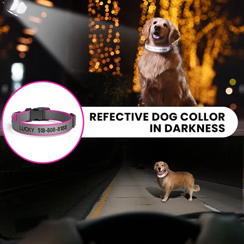 Personalized Reflective Dog Collar with Name and Phone