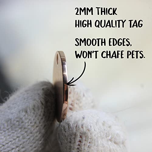 Personalized Stainless Steel Pet ID Tags - Various Designs