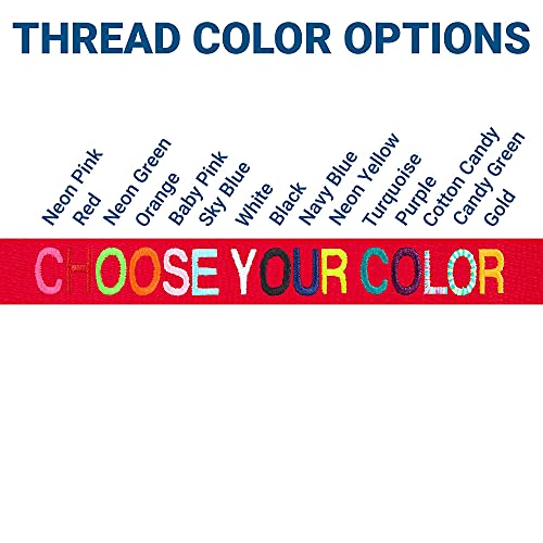 Personalized Dog Collar with Metal Buckle & Pet Name