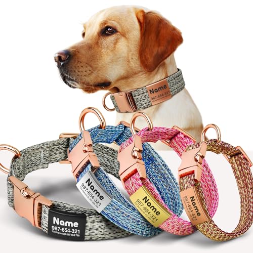 Personalized Dog Collar with Engraved ID Tag