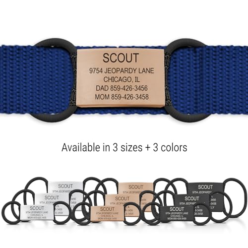 Personalized Engraved Pet ID Tag, Jingle-Free Slide-On, Stainless Steel