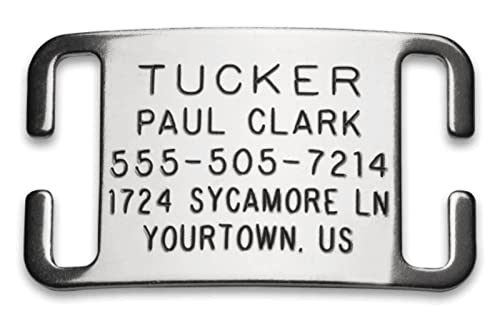 Custom Engraved Stainless Steel Dog Name Tag