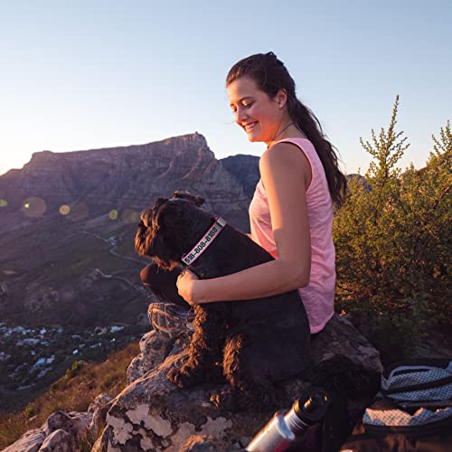 Personalized Reflective Dog Collar with Name and Phone