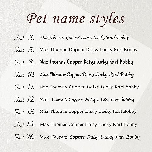 Black Stainless Steel Pet ID Tag - Customized