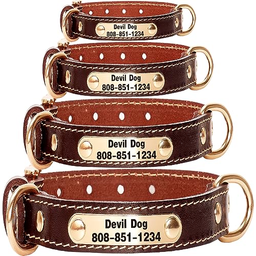 Personalized Genuine Leather Dog Collar for All Sizes