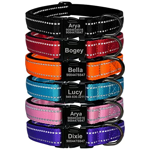 Custom Reflective Dog Collar with Metal Buckle - Various Colors