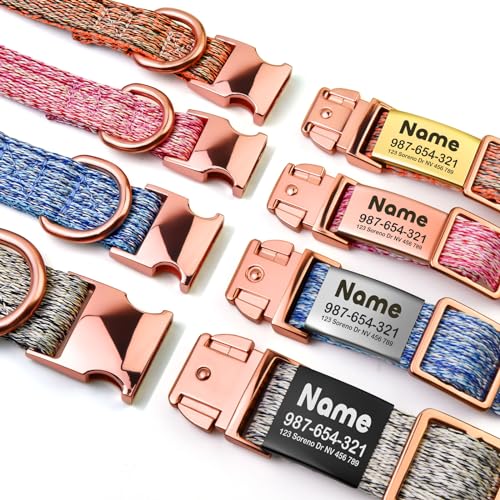 Personalized Dog Collar with Engraved ID Tag