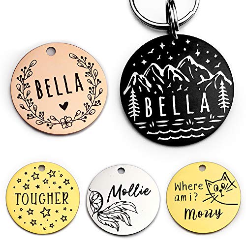 Personalized Stainless Steel Pet ID Tags with Various Designs
