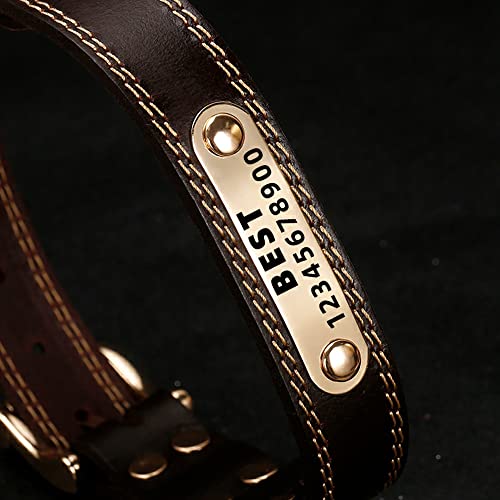 Personalized Genuine Leather Dog Collar for All Sizes
