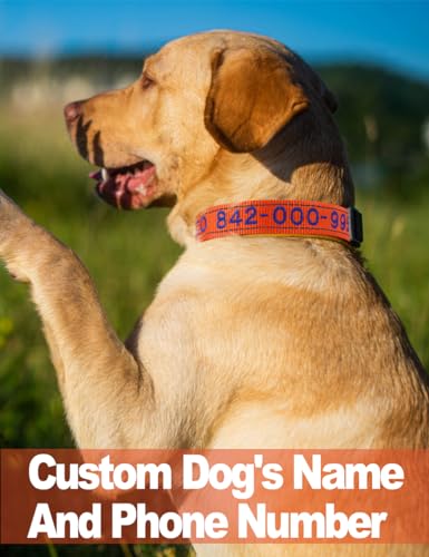 Custom Reflective Nylon Dog Collar with Personalized Name