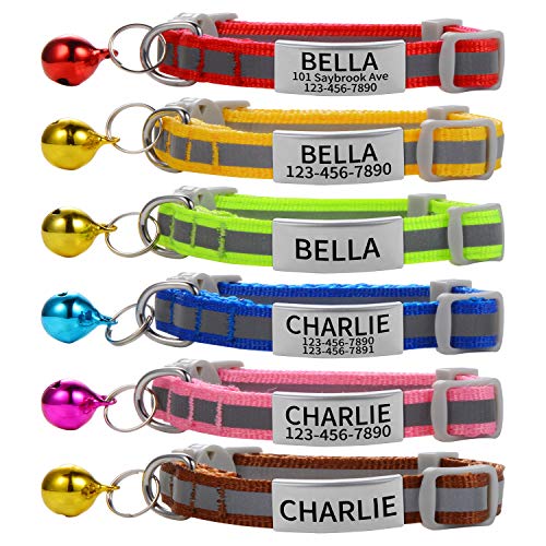Personalized Breakaway Cat Collar with Engraved Identification Tags