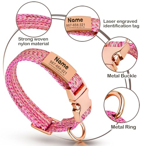 Personalized Dog Collar with Engraved ID Tag