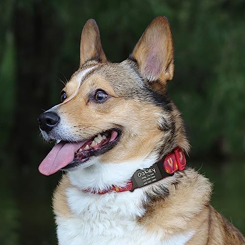 Black Stainless Steel Pet ID Tag - Customized