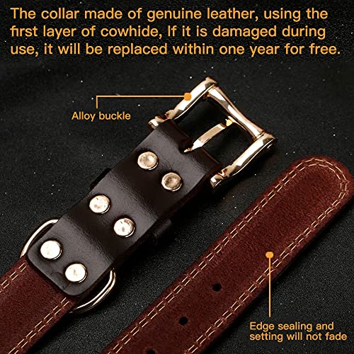Personalized Genuine Leather Dog Collar for All Sizes
