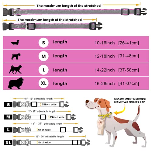 Personalized Reflective Dog Collar with Name and Phone