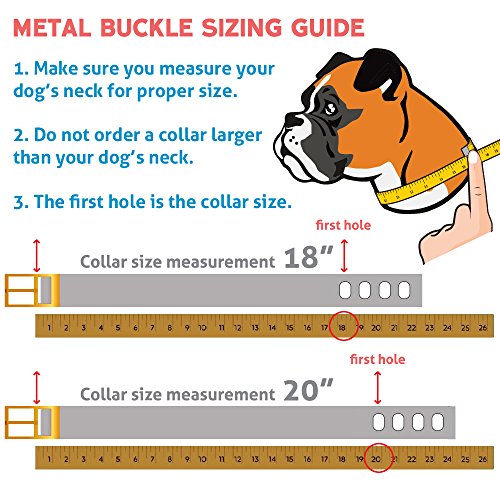 Personalized Dog Collar with Metal Buckle & Pet Name