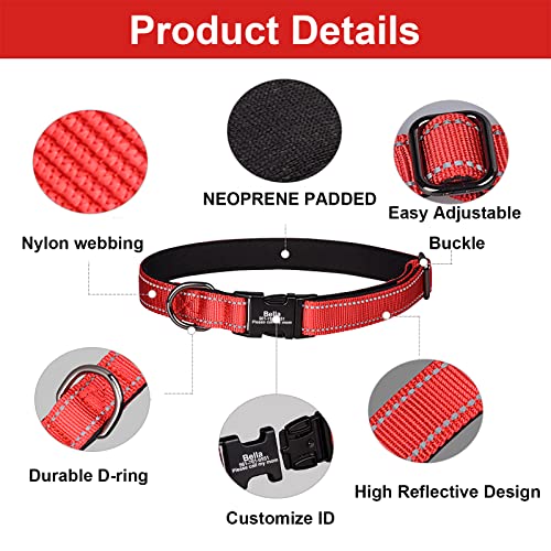 Custom Reflective Dog Collar with Metal Buckle - Various Colors