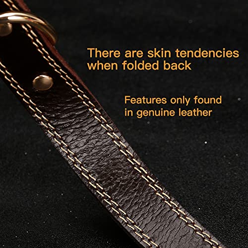 Personalized Genuine Leather Dog Collar for All Sizes