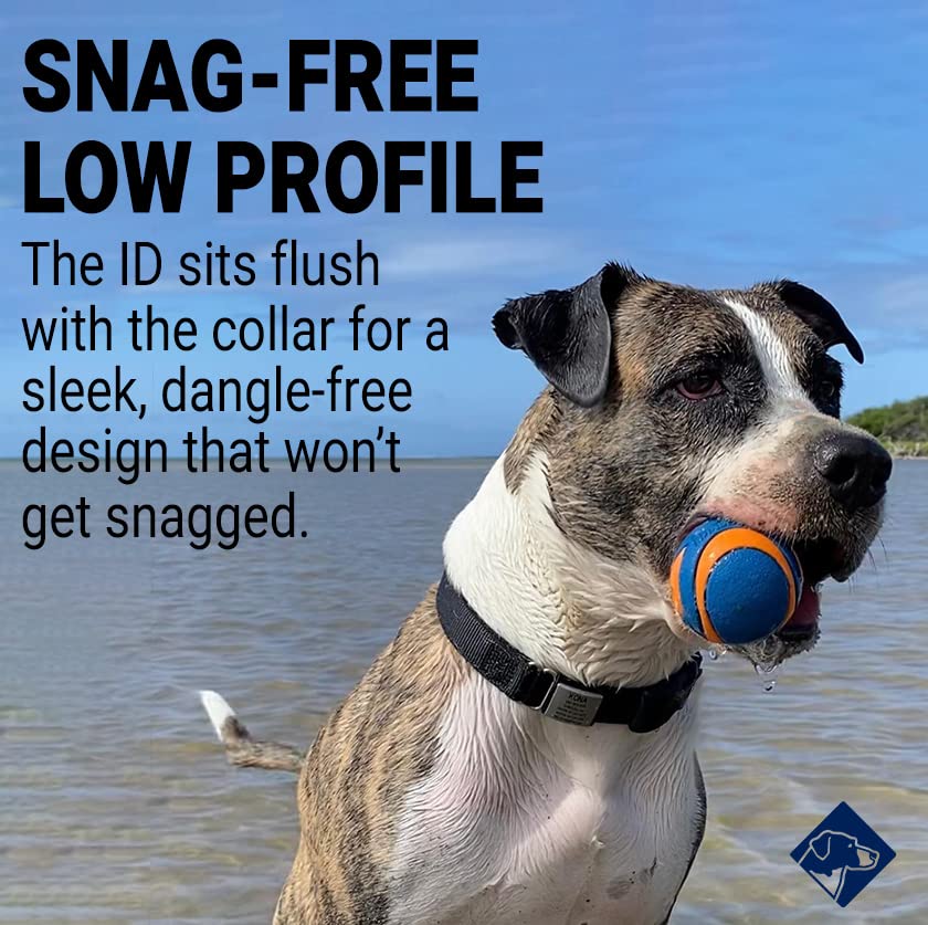 Personalized Engraved Pet ID Tag, Jingle-Free Slide-On, Stainless Steel