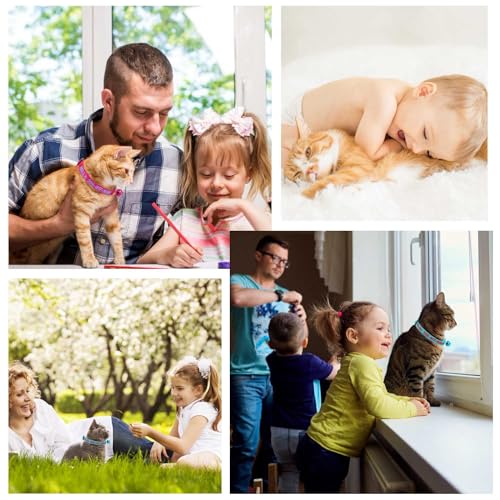 Personalized Embroidered Breakaway Cat Collar with Bell