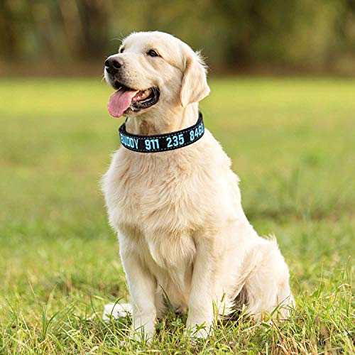 Personalized Embroidered Dog Collar - Customizable with ID